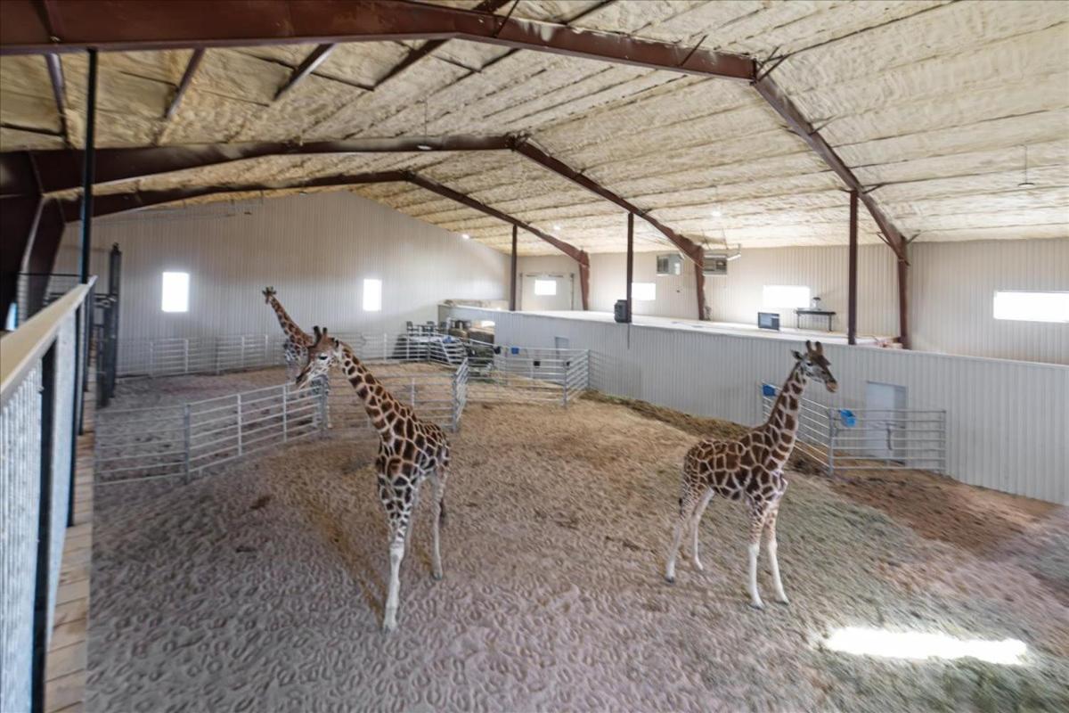 Blue Hills Ranch Hotel McGregor Bagian luar foto