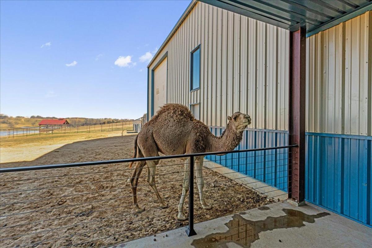 Blue Hills Ranch Hotel McGregor Bagian luar foto
